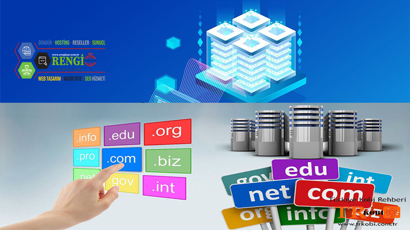 Domain Hosting Hizmetleri Renginar