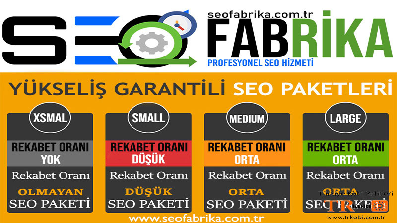 SEO Fabrika – Profesyonel SEO Hizmeti